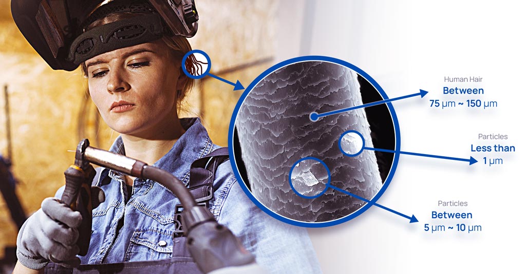 What Are the Health and Environmental Risks of Particulate Matter?